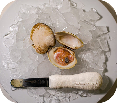 Dexter Clam Knife
