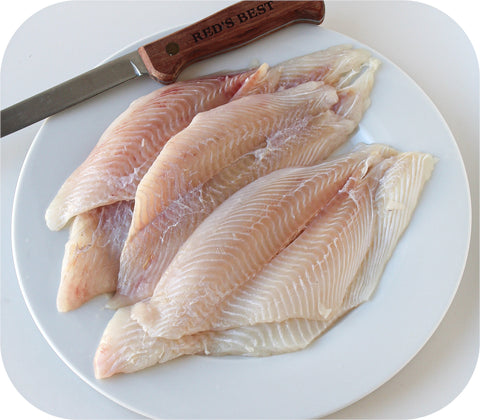 Frozen- Dab Sole Fillet 1Lb White Fish