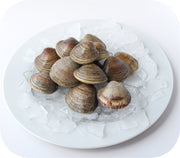 Fresh- Littleneck Clams 20Ct Bag
