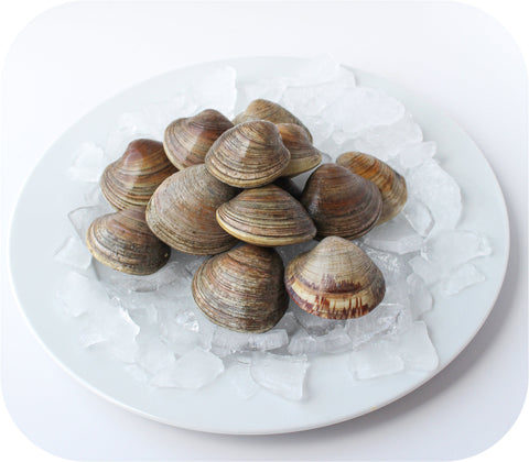 Fresh- Littleneck Clams 20Ct Bag
