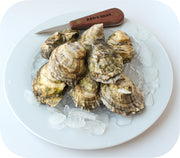 Fresh- Old Cove Oysters - Duxbury Ma 20Ct