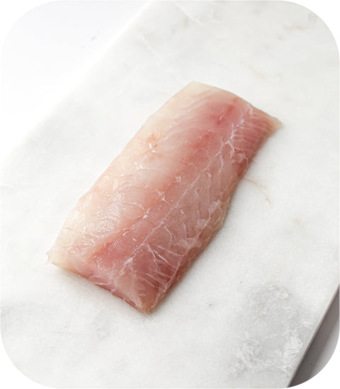 Black Seabass Saku 2.5Oz Sea Bass