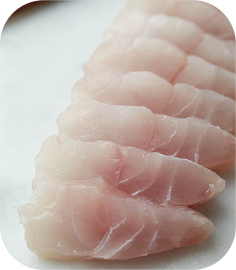 Black Seabass Saku 2.5Oz Sea Bass