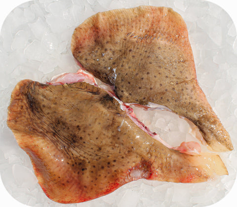 Fresh- Skate Fillet