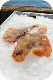 Fresh- Skate Fillet