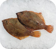 Frozen- Black Back Flounder 1Lb