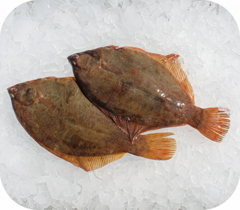 Frozen- Black Back Flounder 1Lb