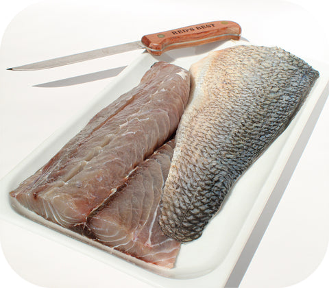 Frozen- Bluefish 1lb - Christmas Preorder