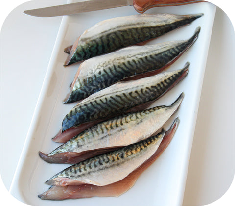 Fresh- Boston Mackerel Fillet