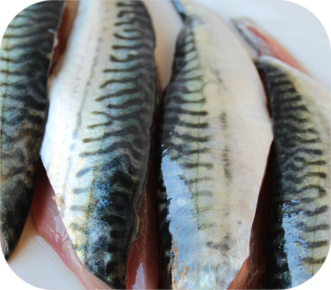 Fresh- Boston Mackerel Fillet