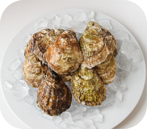 Fresh - Sherwood Island Oysters - Westport Ct 20Ct Fish