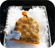 Fresh- Littleneck Clams 100Ct Bag