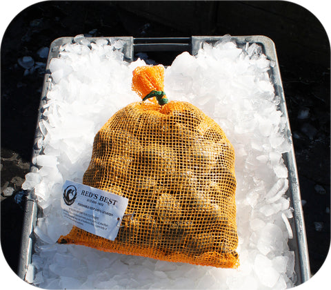 Fresh- Littleneck Clams 100Ct Bag