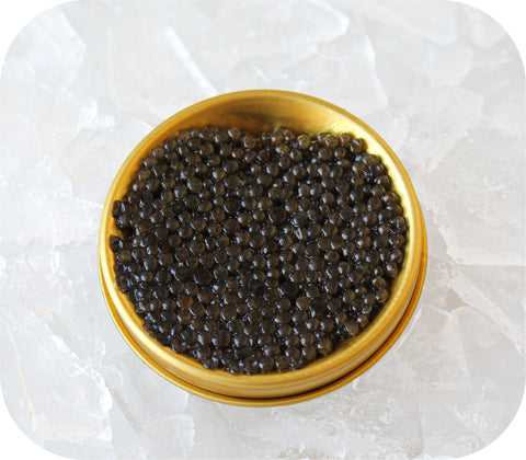 Caviar- Giaveri Osetra 12g