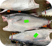 Bluefin Tuna Kama-Toro Saku 3-4Oz