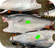 Bluefin Tuna O-Toro Saku 3-4Oz
