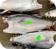 Bluefin Tuna Toro Poke/maki Cubes 5Oz