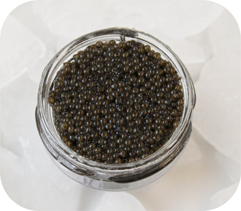 Caviar- Spoonbill/Paddlefish 1Oz Salmon