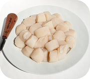 Fresh- 10/20 Sea Scallops Fish