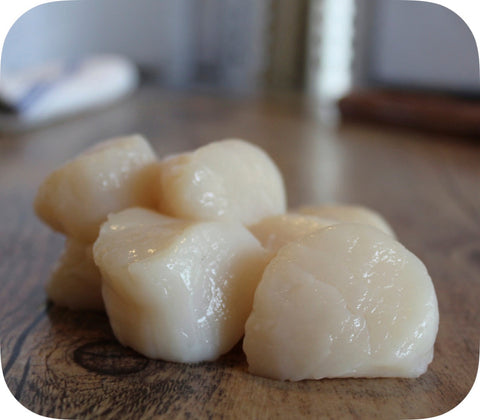 Fresh- 10/20 Sea Scallops Fish