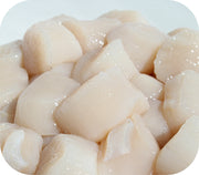 Fresh- 10/20 Sea Scallops Fish