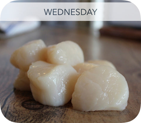 Fresh- 20/30 Sea Scallops Fish