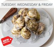 Fresh- Boomamoto Oysters - Barnstable MA 20ct Live Shellfish