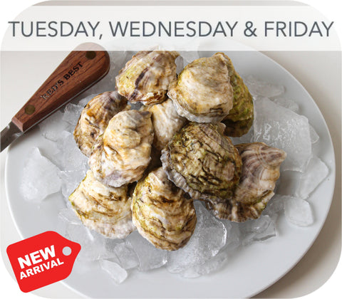 Fresh- Boomamoto Oysters - Barnstable MA 20ct Live Shellfish