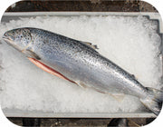 Fresh - Center Cut Gulf Of Maine Atlantic Salmon Fillet