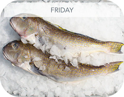 Fresh- Golden Tilefish Fillet White Fish