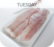 Fresh- Hake Fillet White Fish