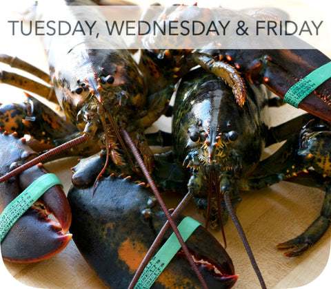 Fresh- Live 1.25Lb Hard Shell Lobster 1Ea