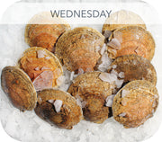 Fresh- Live Sea Scallops 4Lb