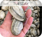 Fresh- Ma Steamer Clams 2Lb Bag