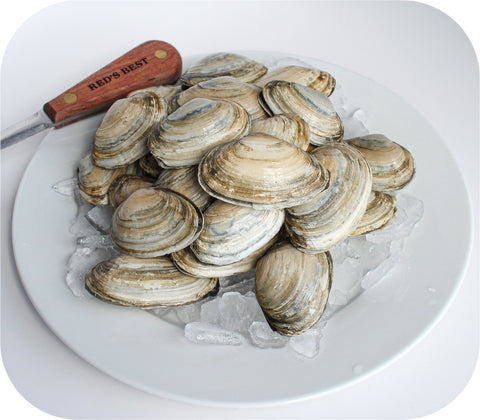 Fresh- Ma Steamer Clams 2Lb Bag