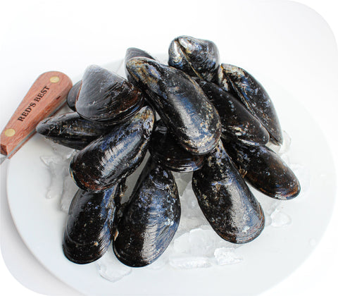 Fresh- Maine Mussels 10Lb