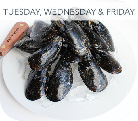 Fresh- Wild Maine Mussels 2Lb