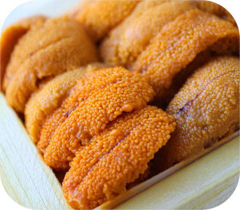 Fresh- Maine Uni (Sea Urchin) 60G Fish