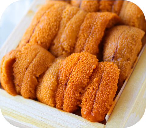Fresh- Maine Uni (Sea Urchin) 60G Fish