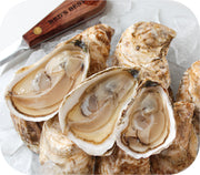 Fresh - Menemsha Creek Oysters - Martha’s Vineyard Ma 20Ct Fish