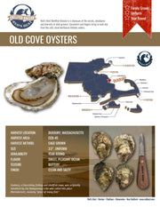 Fresh- Old Cove Oysters - Duxbury Ma 20Ct