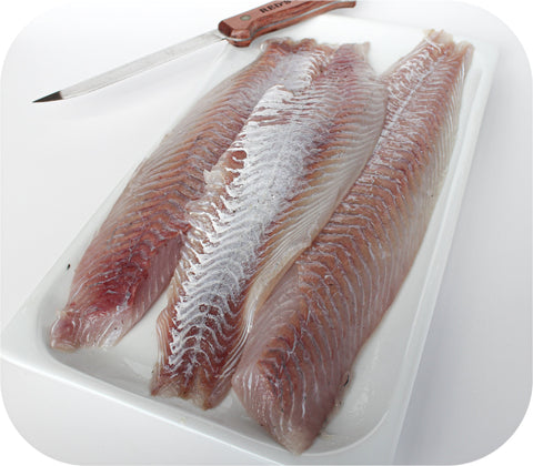 Fresh- Pollock Fillet White Fish