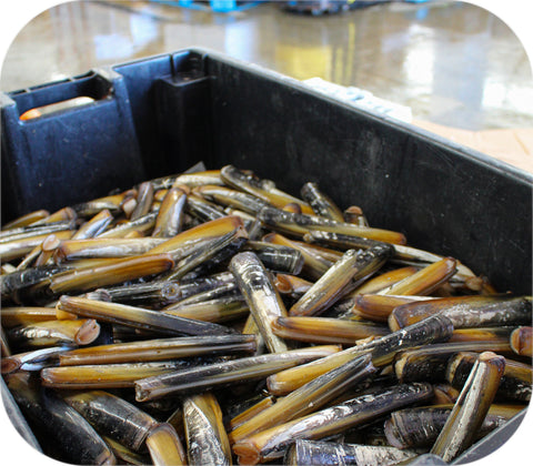 Fresh- Razor Clams 2Lb Bag
