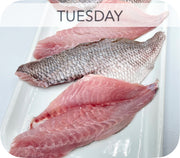 Fresh- Scup Fillet White Fish