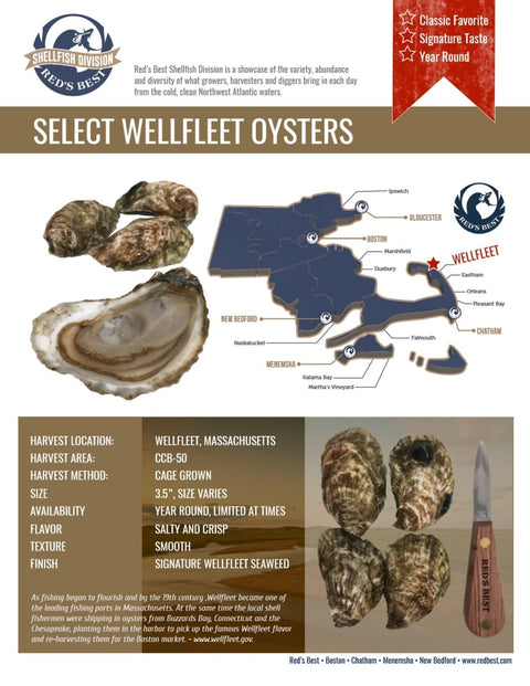 Fresh- Select Wellfleet Ma Oysters 20Ct Bag Fish