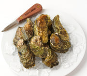 Fresh- Select Wellfleet Ma Oysters 50Ct Bag Fish