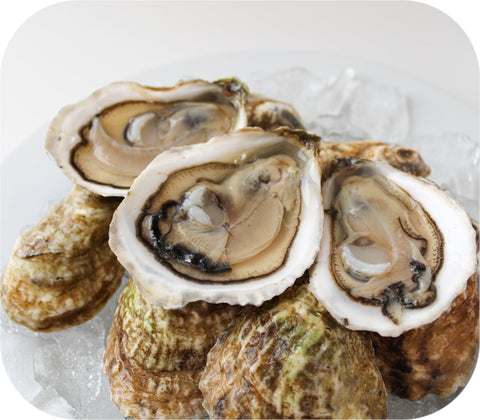 Fresh - Sherwood Island Oysters - Westport Ct 20Ct Fish
