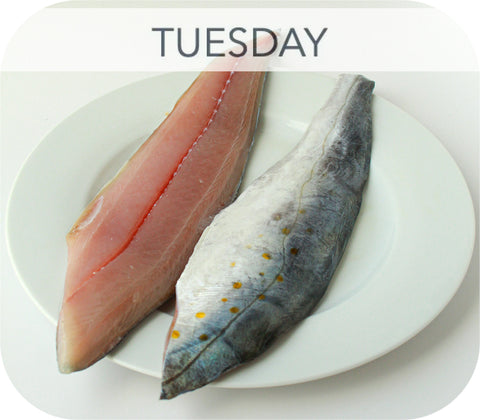 Fresh- Spanish Mackerel Fillet