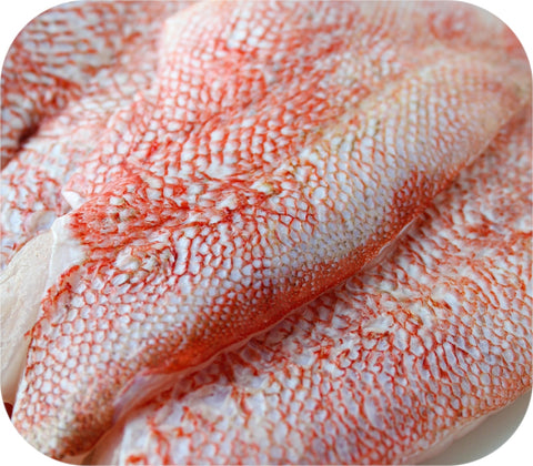 Frozen- Acadian Redfish 1Lb White Fish