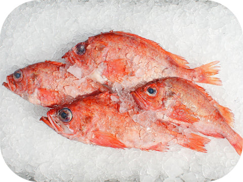 Frozen- Acadian Redfish 1Lb White Fish